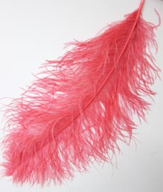 Straussenfeder ca. 65cm pink